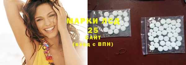 PSILOCYBIN Заволжск