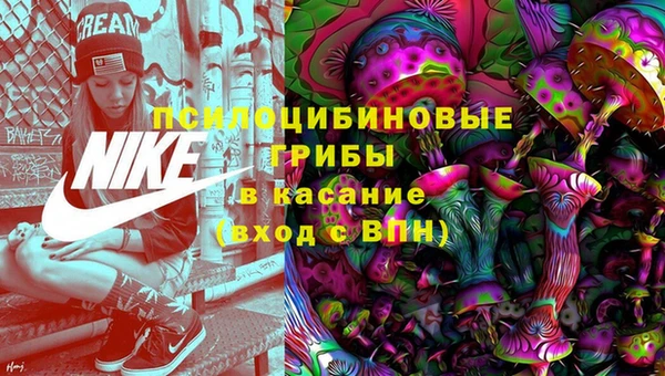 PSILOCYBIN Заволжск