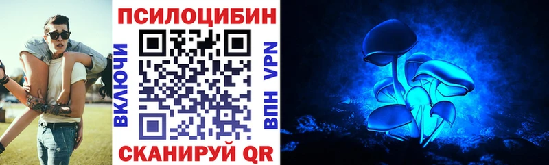 Купить где  Катайск  Псилоцибиновые грибы мицелий 